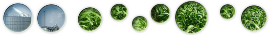 BioTom - budowa fabryk biopaliw